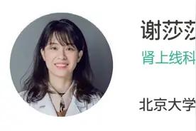尿蛋白2+，怎么对应24小时尿蛋白定量？尿常规的高级玩法图片