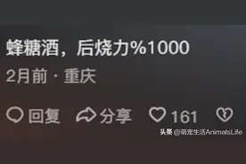 农村老辈子的泡酒有多厉害？网友亲身体会后述说，被谎言上了一课图片