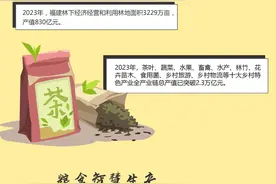 世界粮食日丨福建粮仓好“丰”景图片