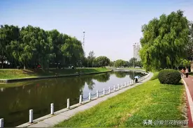 遇老友捡了两株草图片