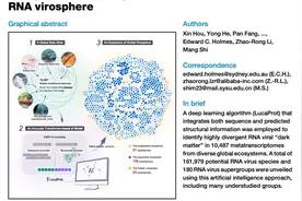 AI发现超16万种RNA病毒，中山大学、阿里云联合研究成果在国际顶刊《Cell》发表图片