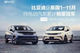 全世界拿奖拿到手软，比亚迪海豚究竟有何魅力？图片