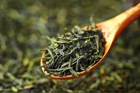 36个茶叶冷知识，知道6个就是大神图片