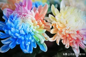 世事无常，谁能想到有不少的80后已经相继去世了?图片