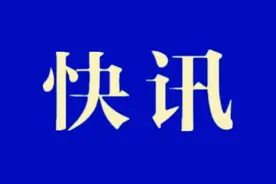 节假日不打烊！明年这些节假日，泰安市正常开展结婚登记服务图片