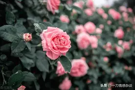 女人的“嗯”和“嗯嗯”究竟藏着多少暗号？老实人听不懂就亏大了图片