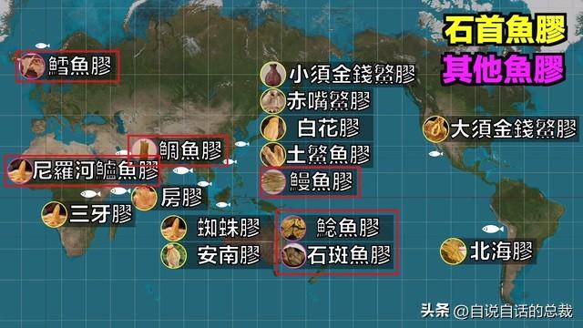 美国陈年花胶 2026年陈年花胶价格