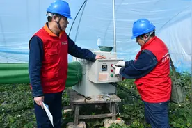 “满格电”贴心服务 保障民生“菜篮子”图片