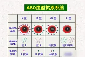 熊猫血为何稀有？还有更罕见的“恐龙血”，全国不超过百例图片