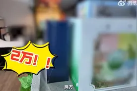 核心产区洞庭山碧螺首批明前茶280斤上市即售空 线上渠道紧急备货确保供应图片