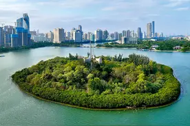 瞭望·治国理政纪事｜人海和谐 厦门向新图片