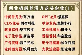 炒股就炒龙头，最具潜力、成长性好的创业板龙头汇总图片