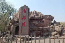 哈尔滨古梨园，138年的古梨树开花了，枝繁叶茂，花团锦簇图片