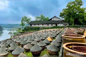 泸州酒文化之外的思考，酿造文旅是不是一条可以走通的路？图片