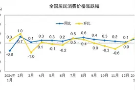 国家统计局：2025年1月份居民消费价格同比上涨0.5%图片