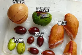 7种水果核别扔了，丢进小花盆，20天长成小盆栽，比买的也不差图片