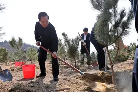 12000+ ！滕州举行2024年义务植树活动图片