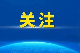 流浪狗成常客、遛狗不拴绳，谁为宠物纠纷担责？图片