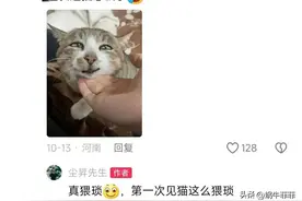 笑麻了！尘昇道长的评论区张天师来了都压不住，不愧是紫袍天师图片