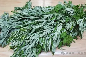 艾草浑身都是宝，教你艾草最养生做法，益处非常多，做法简单又实用图片
