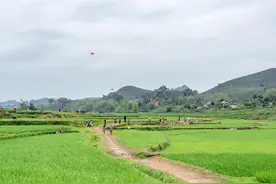 服务期2年！三支一扶上半年招人，这3类考生别错过！图片