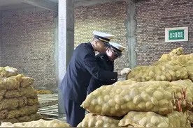 青海马铃薯首次出口中亚图片