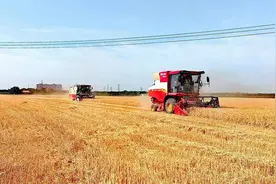 甘肃庆阳：四大工程“齐头并进” 乡村振兴“全面开花”图片