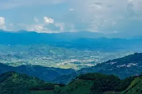 临沧普洱山头排行，最后一个99%的茶友没喝过！图片