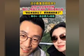 汪小菲再发文控诉大S打自己图片