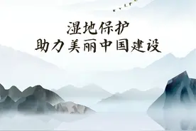 湿地保护助力美丽中国建设图片