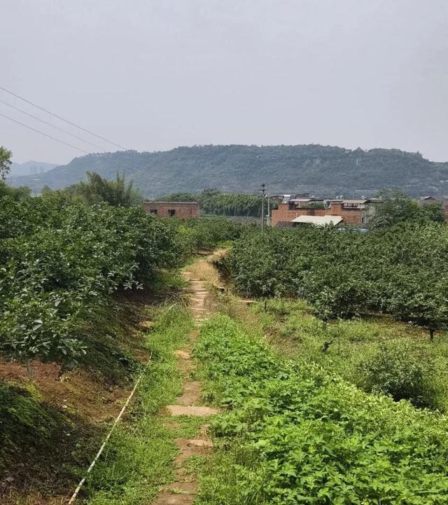 重庆江津小众徒步线路，老街古桥，南宋山寨，随手拍都是大片