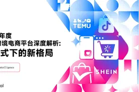 2024全球跨境电商平台深度解析报告：新模式下的新格局-飞书深诺图片