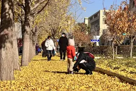 🤳落叶缓扫！安阳市区18处点位开启“最美赏景”模式图片