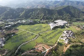 云浮脉动 三十而励丨云城区：感恩奋进促发展 奋勇争先开新局图片