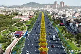 中国随处可见的绿化带，为何在“视环保为命”的西方国家却很少见图片