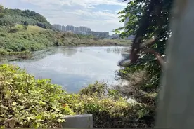 索赔100亿！苏州“毒地”事件闹上热搜，最大的受害者出现了图片