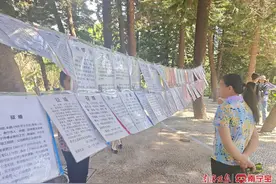 探访南宁相亲角 | “全民红娘”时代来临，为何脱单还这么难？图片