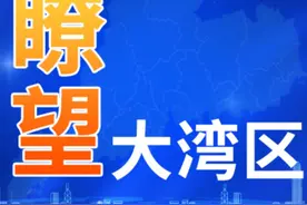 《瞭望大湾区》：深圳高校疯狂引才：深大“百人计划”年薪60万起 深技大释放200+教研岗位图片
