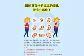 详解：怀胎十月宝宝的变化，看完心都化了！图片