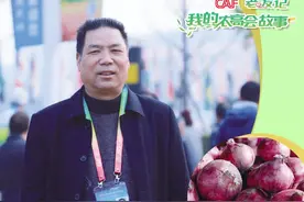 农高会老友记② | 潜心30年，只为打造最强洋葱“芯片”图片