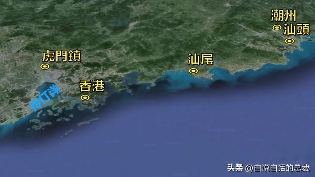 最贵的花胶多少钱一斤 2026年全世界最贵的花胶