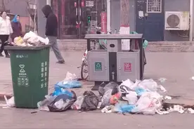 网友称辽宁海城腾鳌镇街头垃圾无人清理；当地回应：环卫工已正常上岗扫保图片