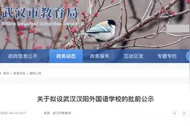 武汉新添一所“外校”，就在汉阳图片