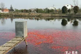 转发这条锦鲤 三天内会有好事发生！图片