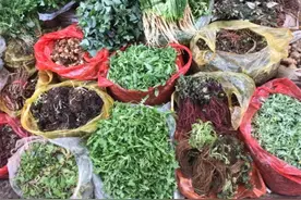 舌尖上的春天——云南野菜图片