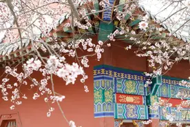 桃花节要来了！游园攻略请查收→图片