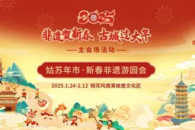@苏州人 交通攻略来啦！来“年味大观园”打卡七省非遗年俗图片