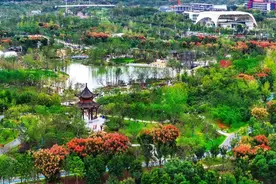 “洗眼大片” ！接下来的合肥，是这个样子的……图片