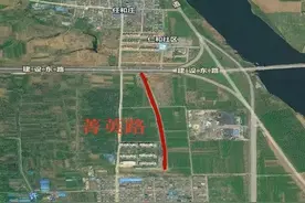 最新公告，费县这些路命名调整图片