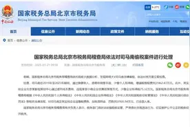 司马南曾痛批薇娅等人逃税，自己翻车被罚：嘴上爱国不作数，依法纳税才是真爱国图片
